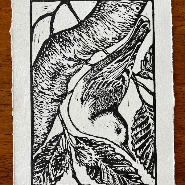 Nuthatch and Beech Tree Original Linocut Print | White Breasted Nuthatch Bird Wall Art | Wildlife Relief Print | Nuthatch Block Print