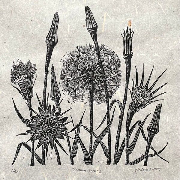 Salsify Linocut 12x12 Large Block Print | Yellow Western Goatsbeard Botanical Art | Foraging Plants Forest Weed Woodcut Illustration Artwork