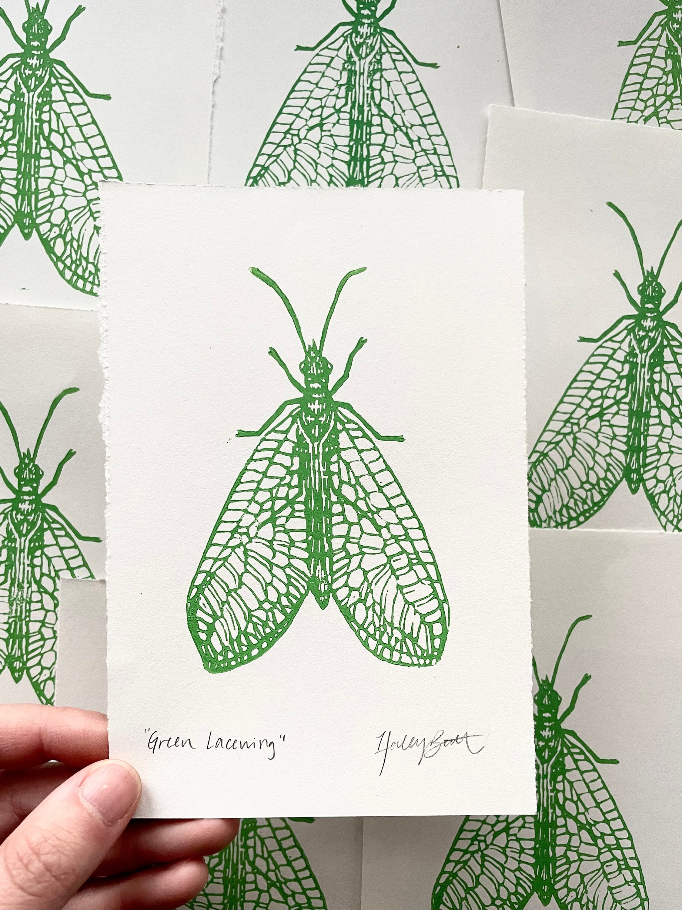 Green Lacewing Mini Linocut Print | 4x6 Insect Relief Block Print