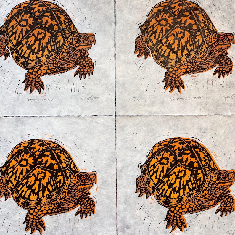 Eastern Box Turtle Linocut Print | 8x8 Two Layer Color Relief Block ...