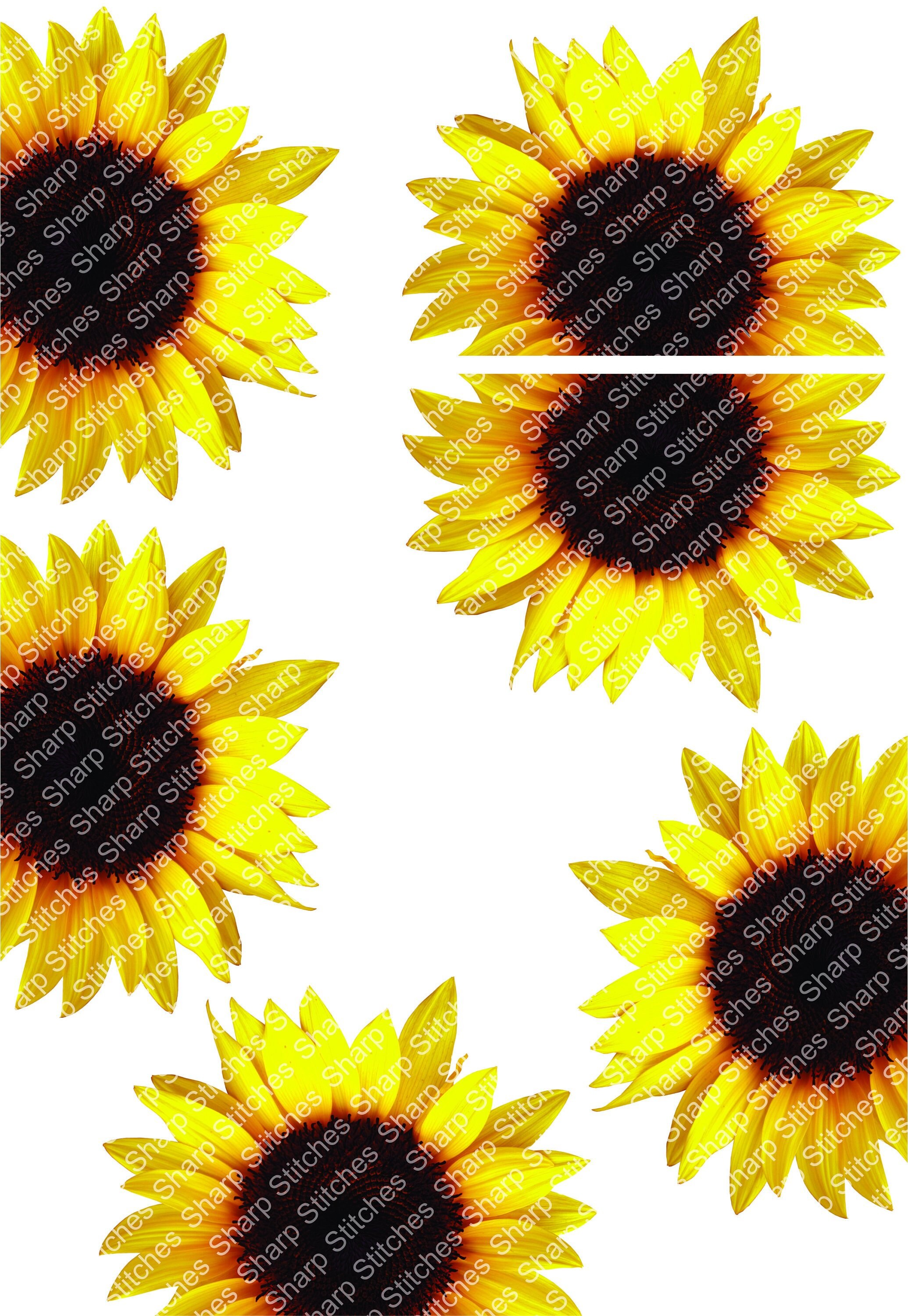 Free Free 131 Sunflower Waterslide Svg SVG PNG EPS DXF File