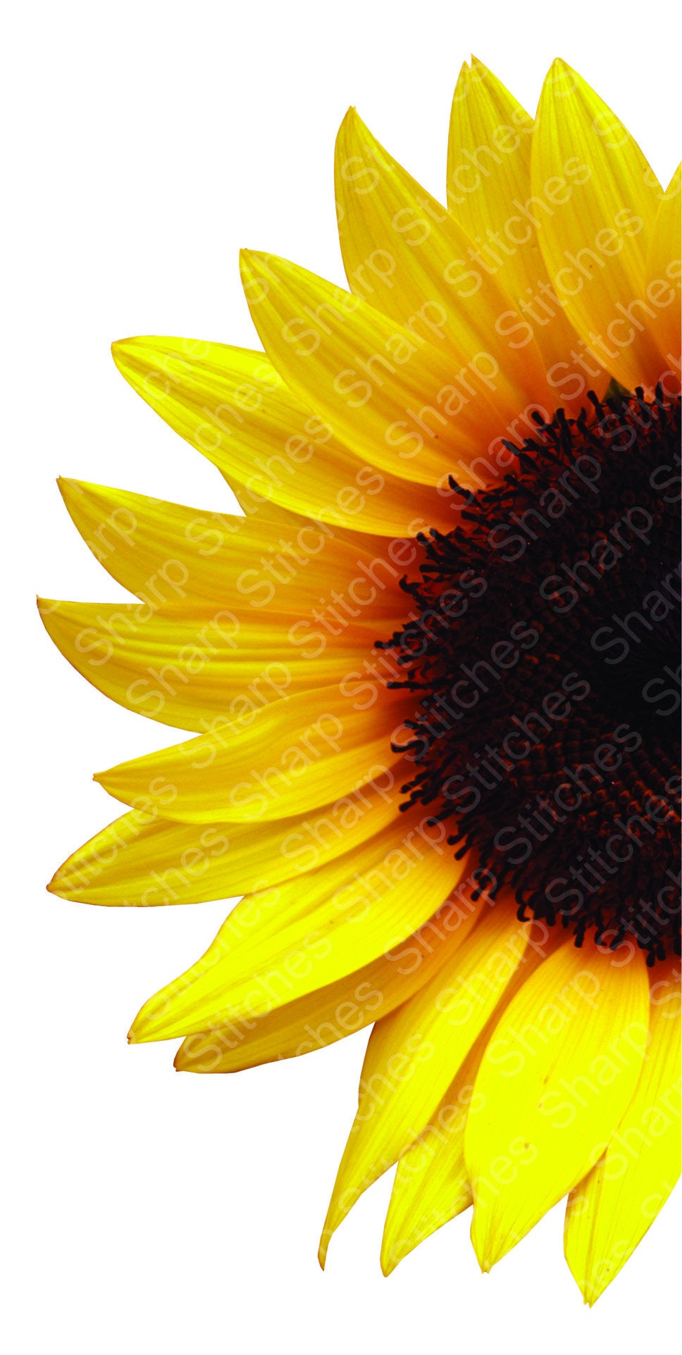 Download Sunflower Half for Clear Waterslide and Sublimation ...