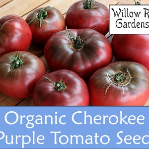 Organic Cherokee Purple Tomato Seeds, 25+, Heirloom Seeds, Non GMO, Plant, USA Grown