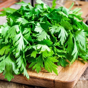 May include: A bunch of fresh green parsley on a wooden cutting board.