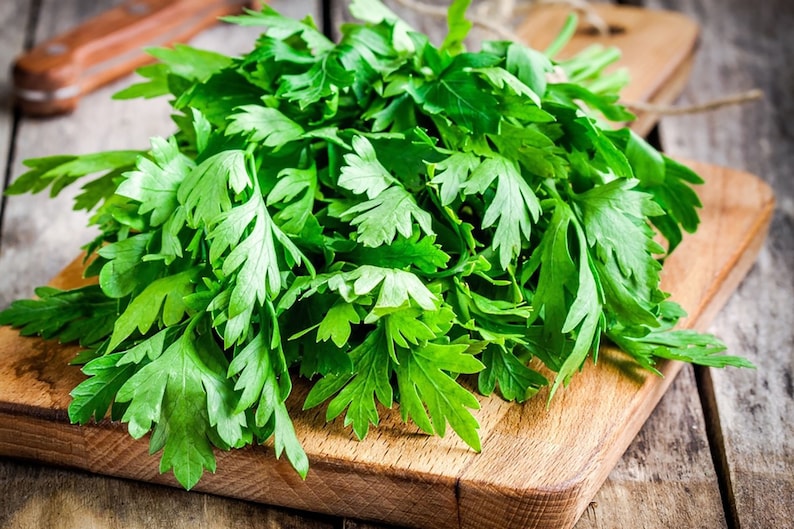 May include: A bunch of fresh green parsley on a wooden cutting board.