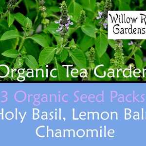 Organic Tea Garden, Medicinal Herb Seed Pack, Holy Basil Seeds, Lemon Balm Seeds & German Chamomile Seeds, Starter Seed Kit