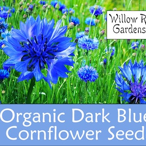 Organic Dark Blue Cornflower Seeds, Bachleor&#39;s Button, 30+ Seeds, Medicinal Herbs, Heirloom Seeds, Non GMO, Plant, USA Grown