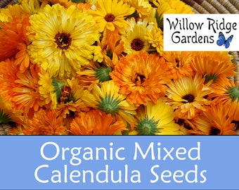 Organic Calendula Mix Seeds, 30+ Seeds, Pot Marigold, Medicinal Herbs, Heirloom Seeds, Flower Seeds, Calendula Plant, USA Grown