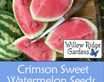 Crimson Sweet Watermelon Seeds, 15+ Seeds, Sourced from Certified Growers, Heirloom, Non GMO, Plant, USA Grown