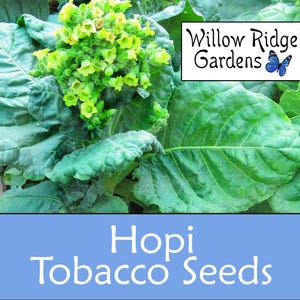 Home Grown Tobacco