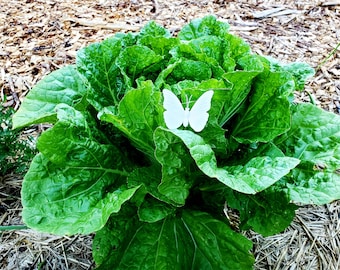 12 Cabbage Moth Decoy, White Butterfly on Stake, Cabbage Moth Decoys