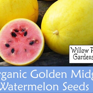 Organic Golden Midget Watermelon Seeds, 15+ Seeds, Organic Watermelon Seeds, Non GMO, USA Grown