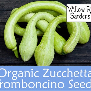 Organic Tromboncino Seeds, 10+ Seeds, Rampicante, Zucchini, Squash Seeds, Heirloom, Non GMO, Organic Vegetable Seeds, USA Grown
