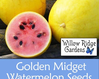 Semillas de sandía Golden Midget, más de 15 semillas, de productores certificados, sin OMG, cultivadas en EE. UU.