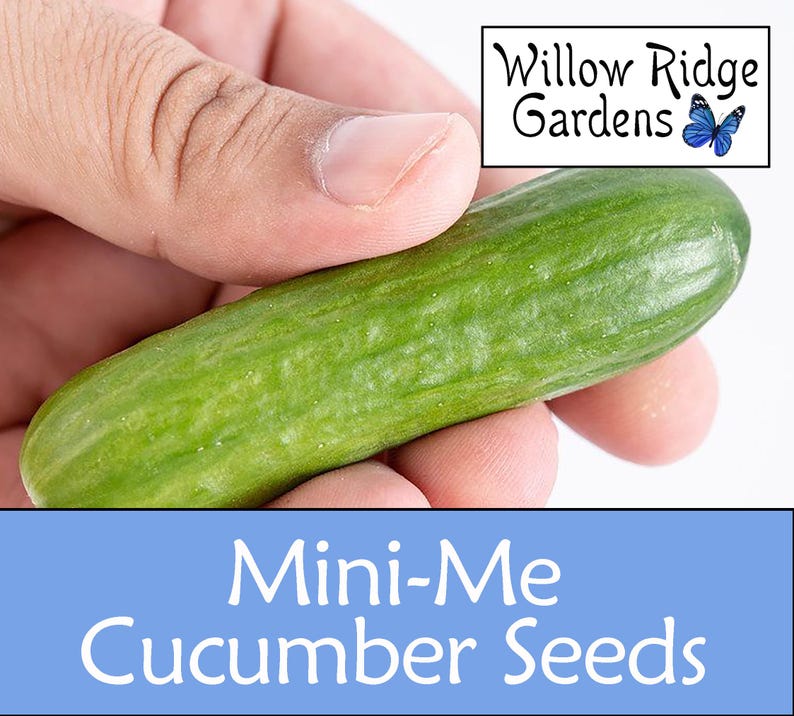 WillowRidgeGardens Cucumber Seeds - Thumbnail 3