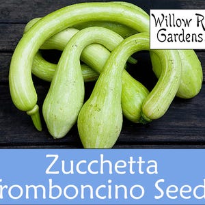 Tromboncino Squash Seeds, Organically Grown, Pesticide Free, USA Grown (10+ Seeds)