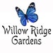 Willow Ramsey