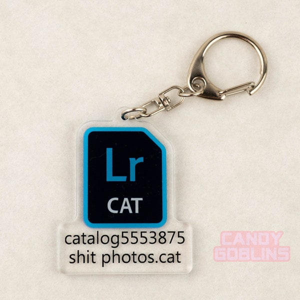 Lightroom Keychain - Photographer Photography Adobe Gift Rude Fuck Swearing Photo Editing Art Relatable Acrylic Quirky Adobe Icon Camera CAT