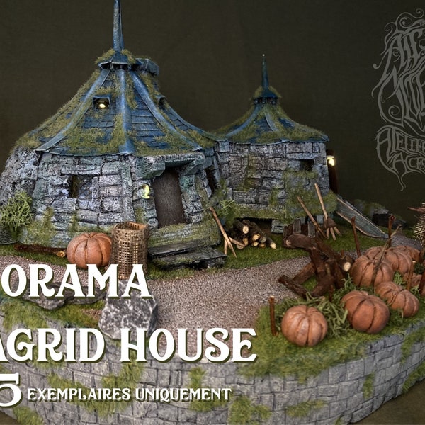 Dioramen Hagrid-Haus (HARRY POTTER INSPIRATION)