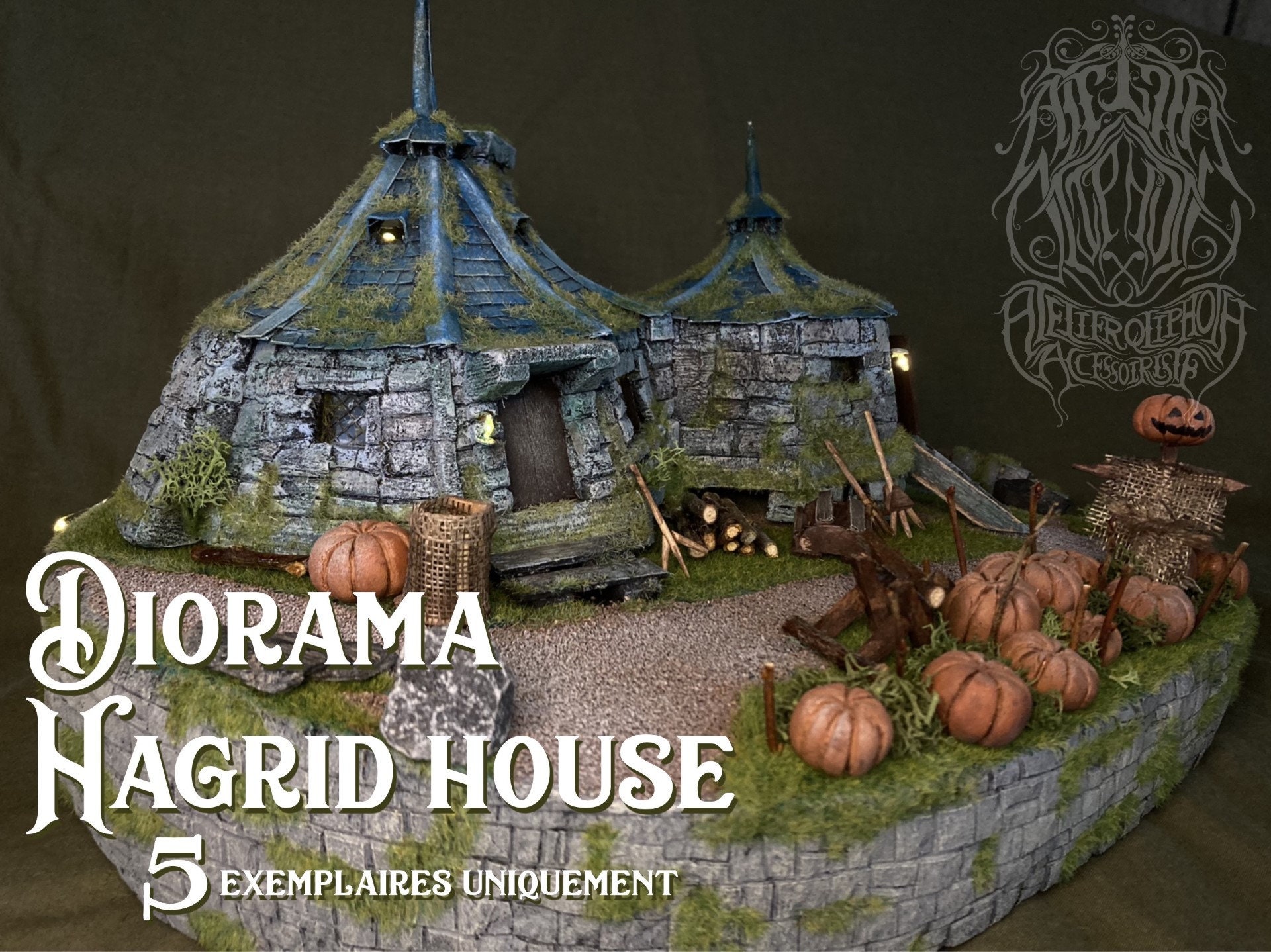 Dioramas Hagrid House HARRY POTTER INSPIRATION Etsy