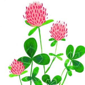 Red Clover Art Print by Julian Plum