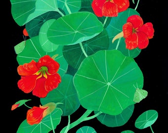 Nasturtiums Giclee Art Print by Julian Plum