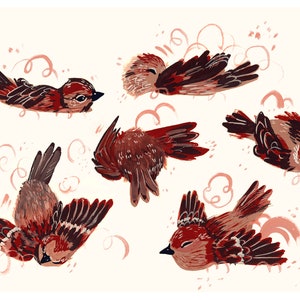 Dust Bath Sparrows Art Print by Julian Plum