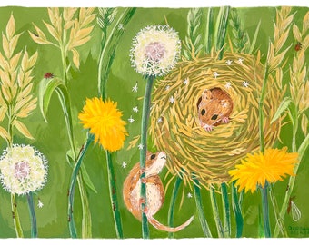 Harvest Mouse Nest Art Print by Julian Plum