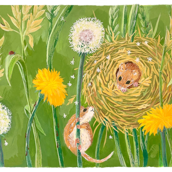 Harvest Mouse Nest Art Print by Julian Plum