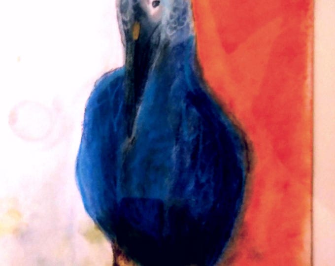 Blue lagoon bird