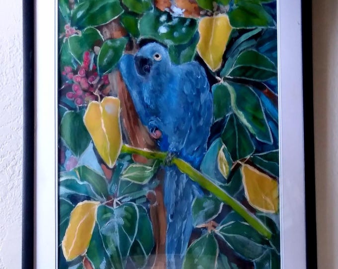 Blue Parrot