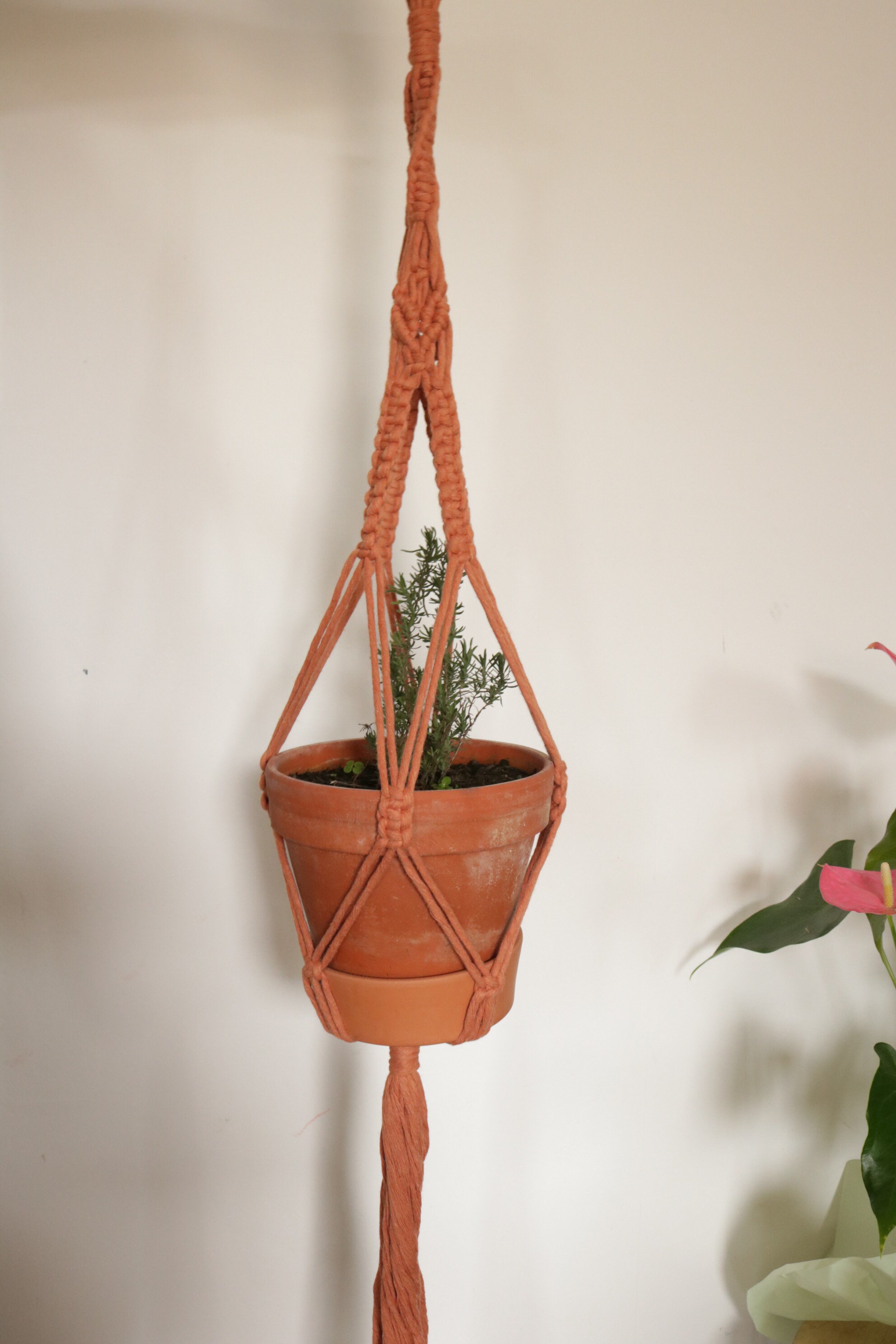 Suspension Macramé Pour Plantes Rita