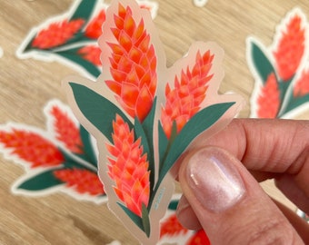 Hawaiian Ginger Sticker | Awapuhi Clear Vinyl Decal