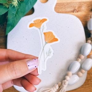 California Poppies Sticker | Clear Flower Sticker | Die Cut Vinyl Sticker