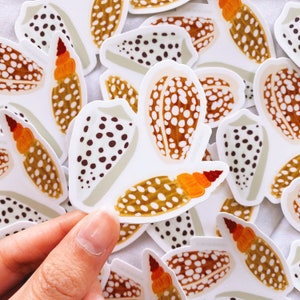 Cowrie Shell Sticker | Die-Cut Water Bottle Sticker | Sea Shell Sticker
