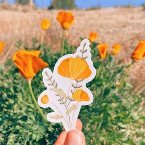 California Poppies Sticker | Weatherproof Sticker | Die-Cut Sticker