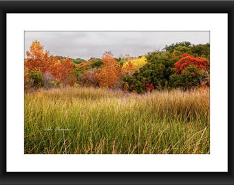 Fine Art Print of Fall Color Landscape, Cleburne State Park, Texas, Fall, Color, Landscape, Changing Color, Photograph