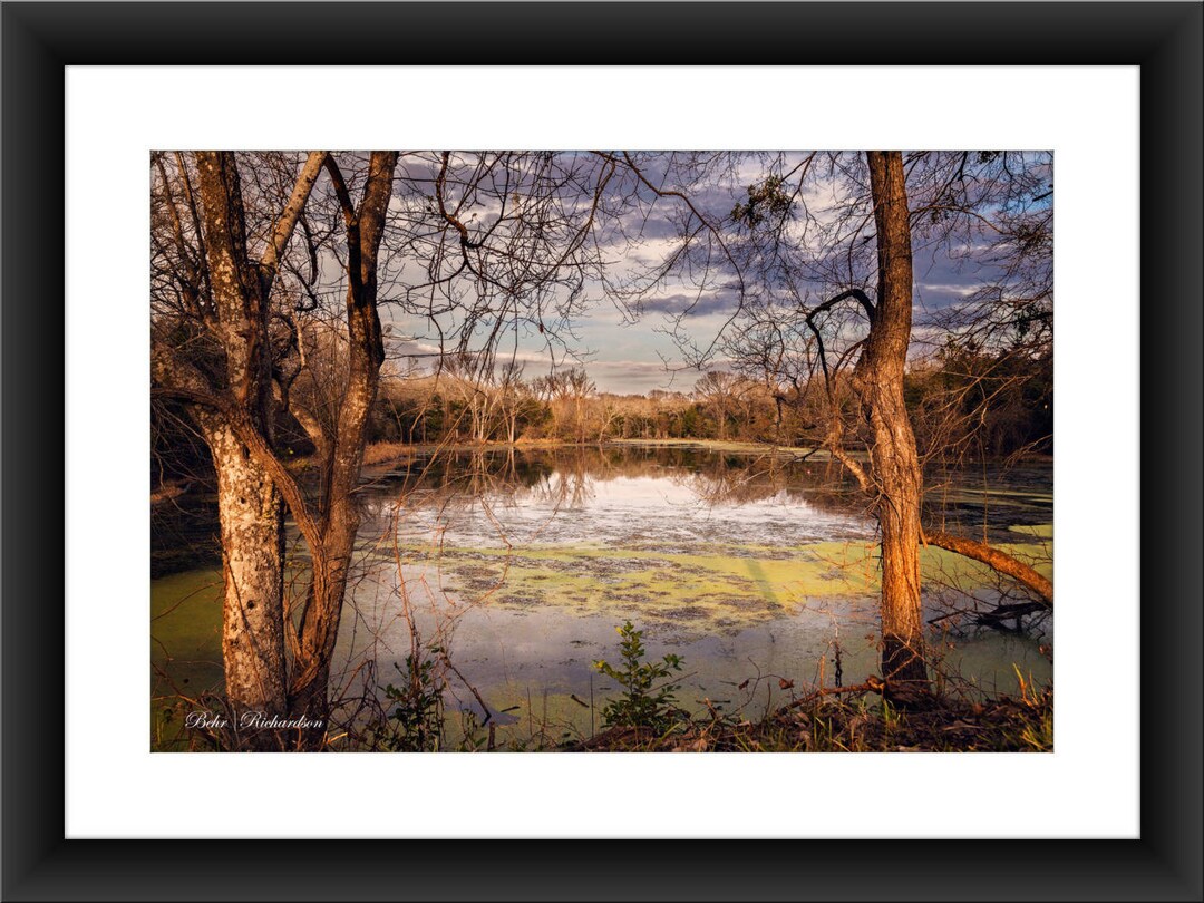 Fine Art Print of Lake Springfield at Fort Parker State Park Near Mexia