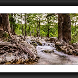 Fine Art Print of Guadalupe River Near Gruene Historic District, New Braunfels, Texas, River, Gruene, Photograph