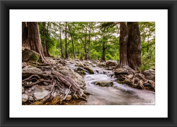 Fine Art Print of Guadalupe River Near Gruene Historic District