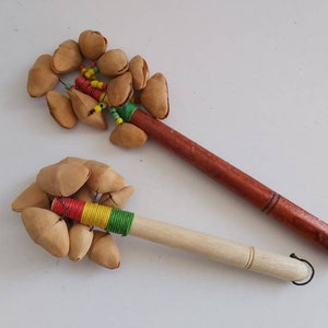 Maraca de coquilles de noix. Hochet coquilles de noix. Instrument de musique. Maracas et shaker.