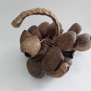 Seed shell rattle maraca / musical instrument.