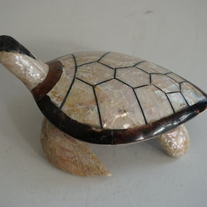 Shell turtle / Shell decorative