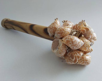 Maraca Sea Snails  / Sea Snails shaker / Sea Snails Rattle Maraca / Musical instrument / Handicraft