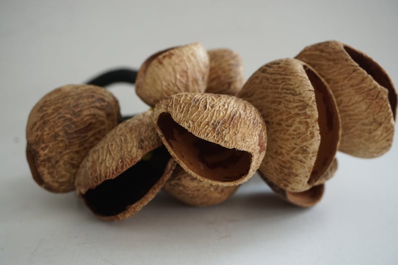 Nut Shell Shaker / Shaker Percussion / Musical Instrument. Etsy