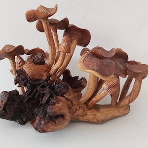 Family mushrooms/Wooden Mushrooms / parasite Wooden mushrooms / Handmade mushrooms / Wood carving