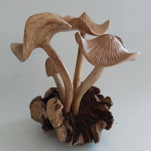 Family mushrooms/Wooden Mushrooms / parasite Wooden mushrooms / Handmade mushrooms / Wood carving