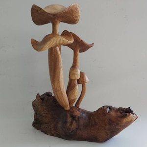 Wooden Mushrooms / parasite Wooden mushrooms / Handmade mushrooms / Wood carving