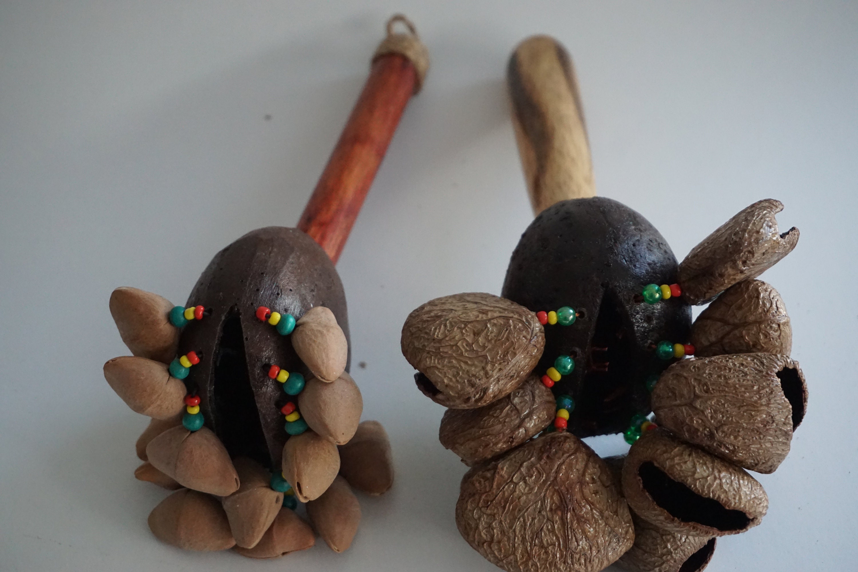 A Seed Stick Maraca Made by Tree Nut Shells / Maraca Nut Etsy UK