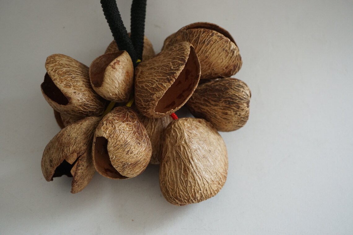 Nut Shell Shaker / Shaker Percussion / Musical Instrument. Etsy